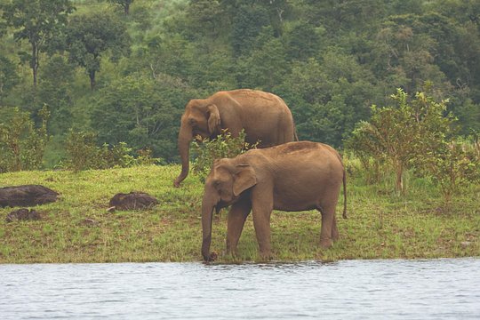 Tour image 9